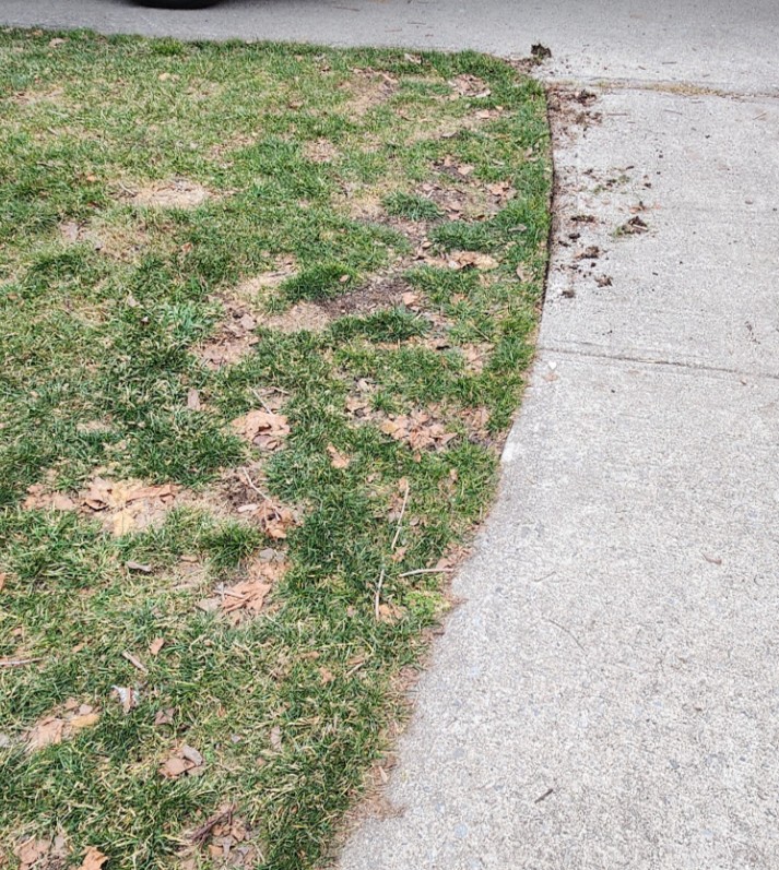 before and after edging a lawn by hand
