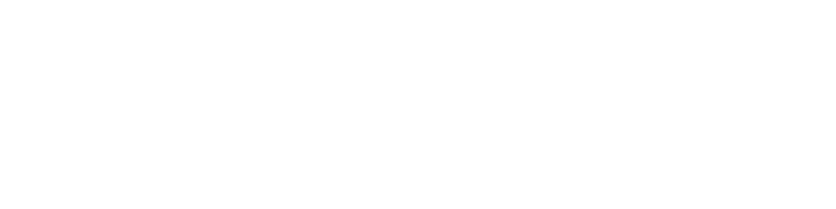 ethan d semmel light logo